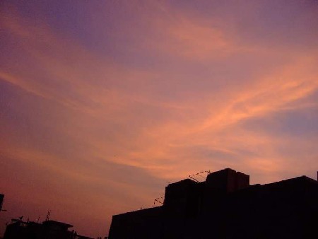 The Dream Scribe: Insta dream curation thumbnail