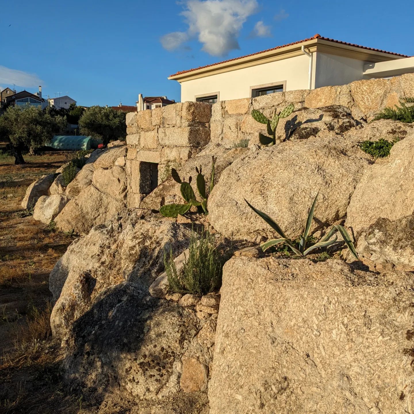 CASA SERRADO 

Le secret de beauté de la casa Serrado, vivre bien cachée, par ses oliviers.
Sur un seul niveau, inscrite