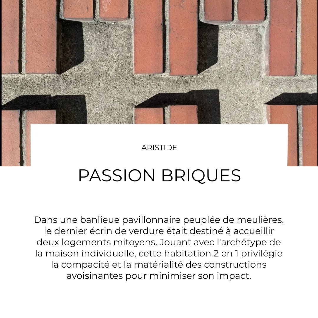 PASSION BRIQUES