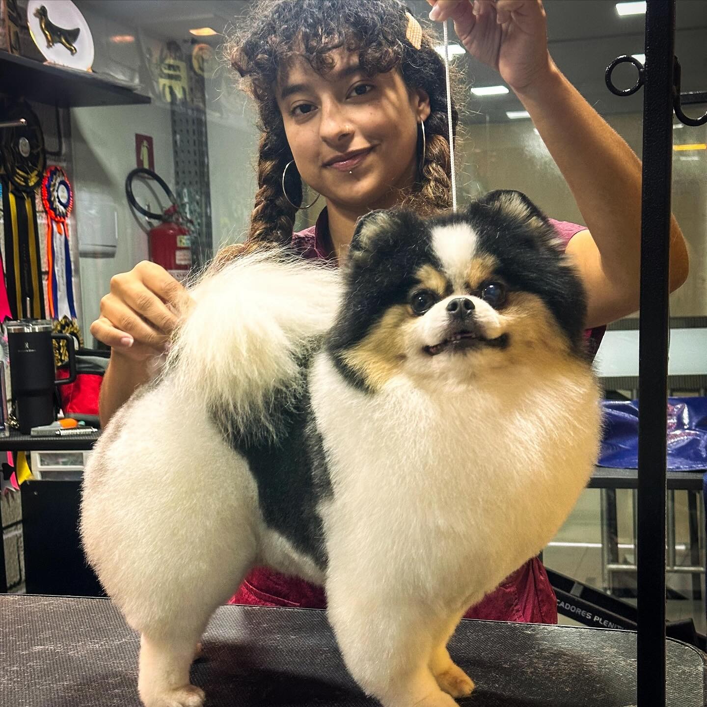 Tosa Trinming thumbnail