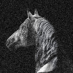 Monochrome Horses thumbnail