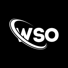 BioSite profile picture for @wso