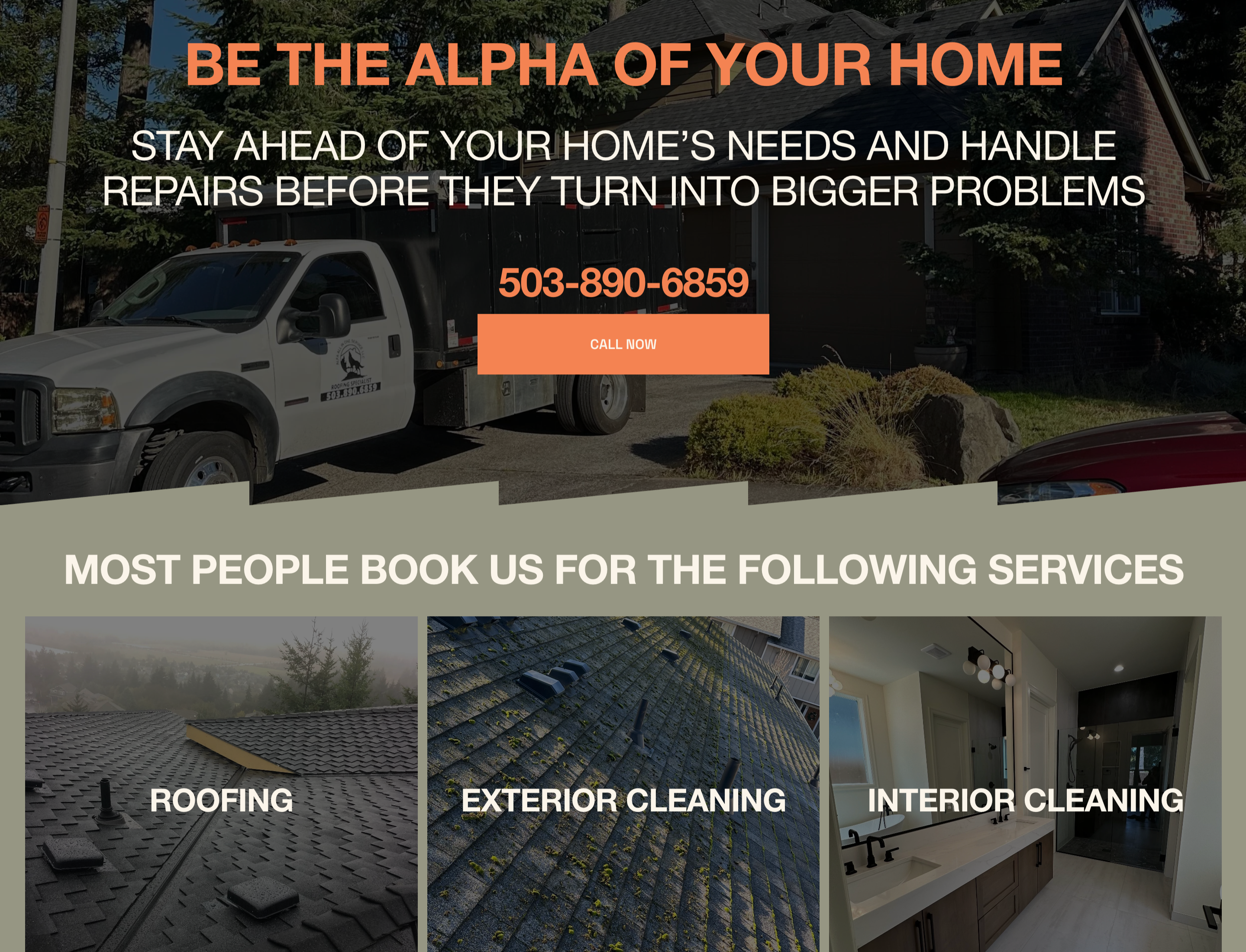 Website & Branding  for Alfa All In One Service  thumbnail