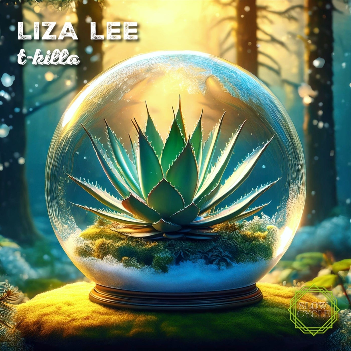 Liza Lee - T-Killa [Slow Cycle Records] | thumbnail