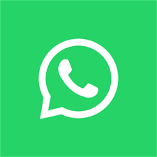Grupo no WhatsApp para conversar sobre coelhos e aprender mais thumbnail