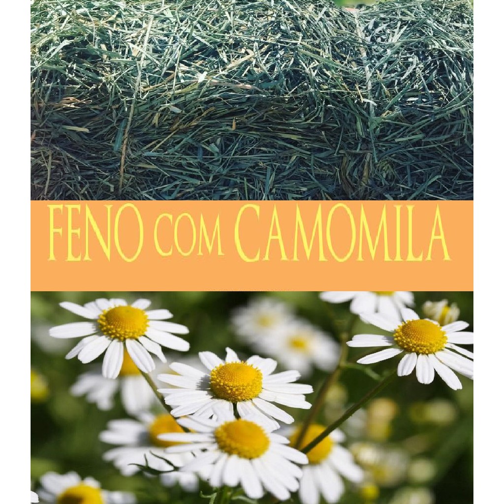 Feno Coast Cross com Camomila - 500g - NUTRIPANSPETS thumbnail
