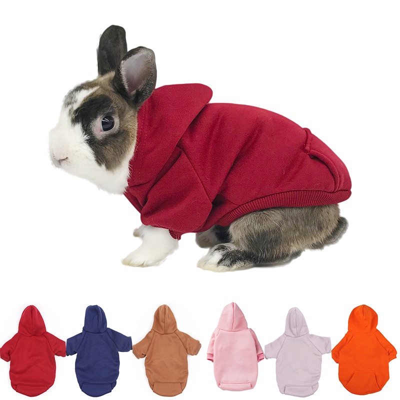 Coelho Outono E Inverno Suéter Quente Bolso De Coelhinho Roupas De Duas Patas Adulto Go Out Photo Accessories thumbnail