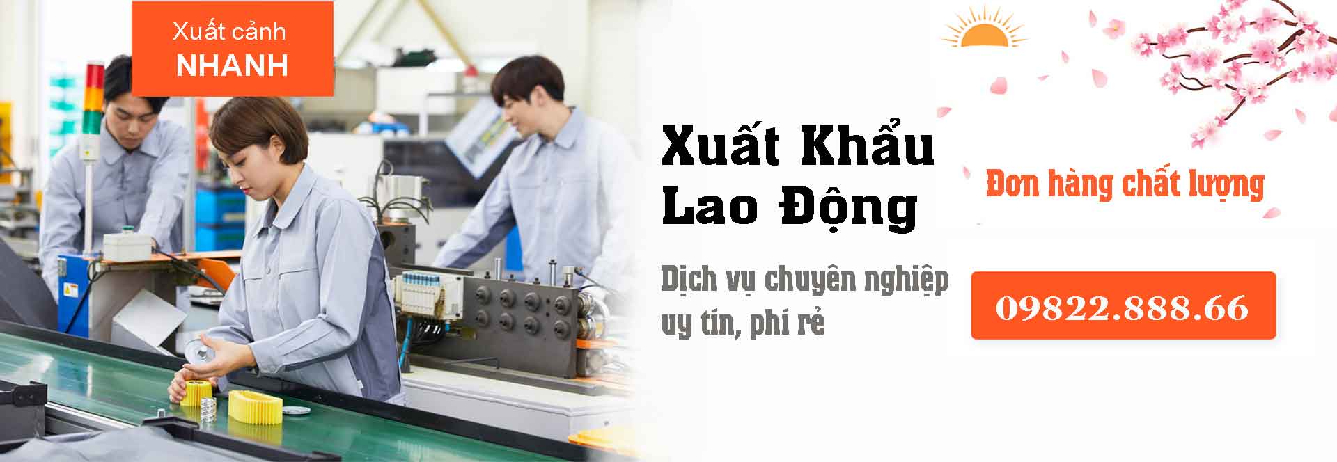Xuất khẩu lao động: Ba Lan, Nhật, Đài Loan, Nga, Algeria, Rumani thumbnail