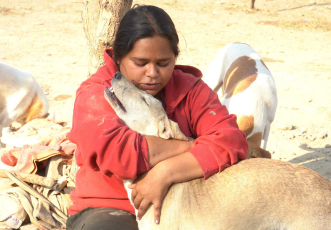 A mother’s sacrifice, 50+ lives at Stake: Help Vaishali  provide shelter and food for abandoned animals thumbnail