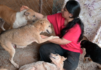 Urgent: Help Shruthi Provide shelter for 350+ rescued animals  thumbnail