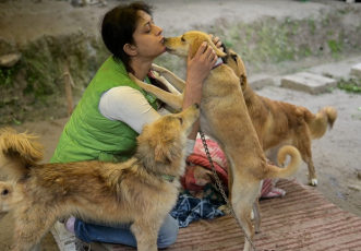 From Tragedy to Compassion: Help Gayatri Rebuild a Home for 50+ Rescued Strays
 thumbnail