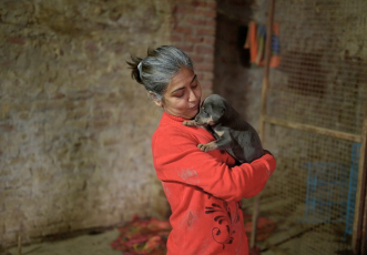 Urgent: Support Dr. Zareen for constructing a safe shelter for 280 Rescued Dogs thumbnail