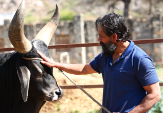 This Maha Shivratri, Don’t Let Amit’s Broken Shelter for 150+ Injured Nandis Collapse, Help Him. thumbnail