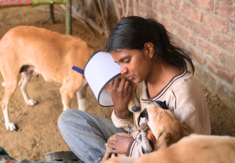 Urgent: Help Suhani provide medical support to 35+ Cold, Injured, Abandoned Lives  thumbnail