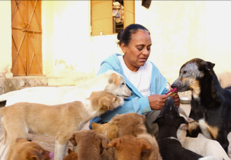 Ganga Ji’s shelter has to vacate in a month, Save 300+ injured dogs from Homelessness thumbnail