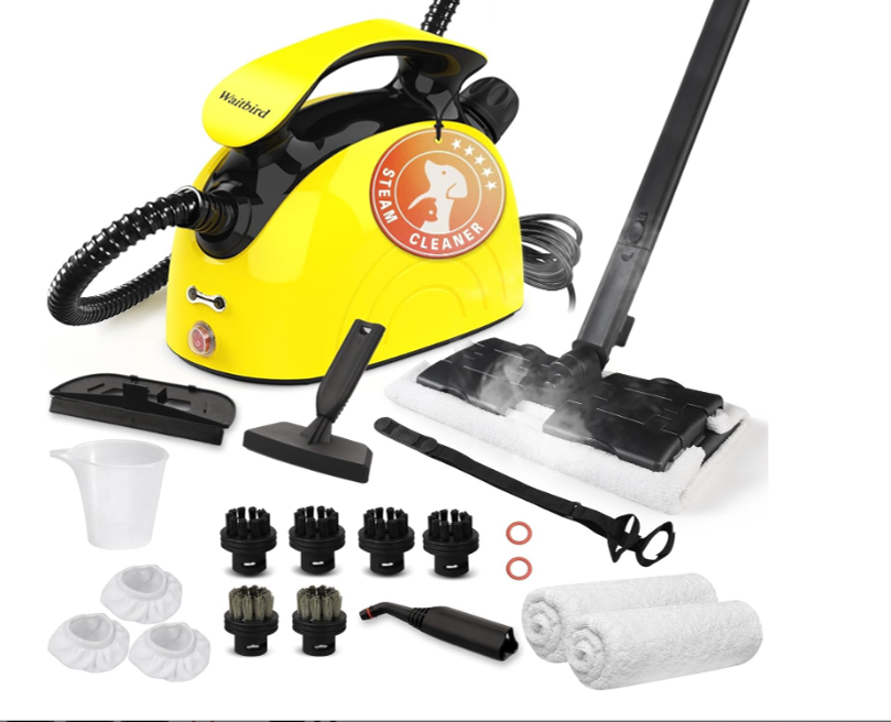 Waitbird Steam cleaner  thumbnail