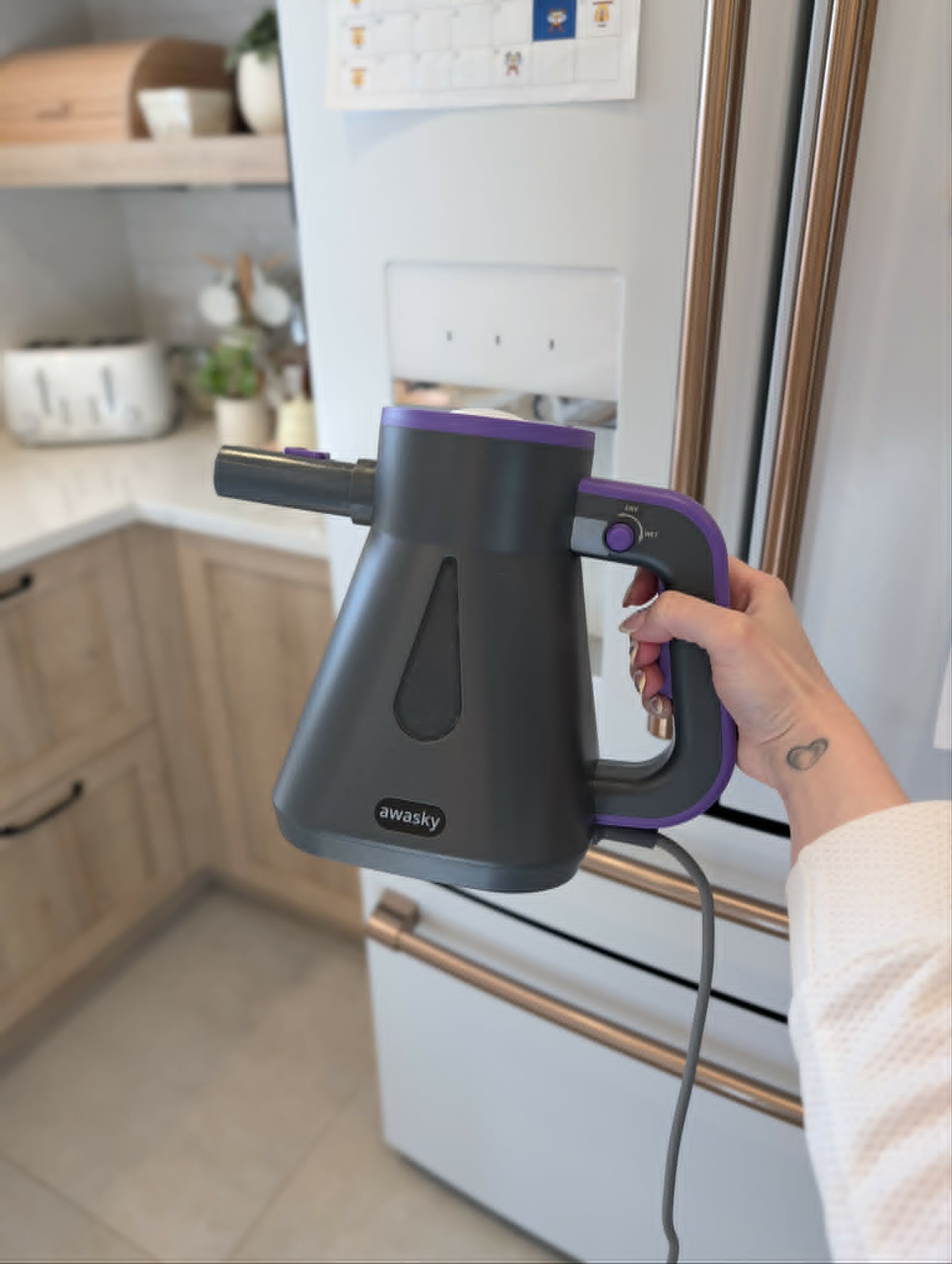 My Favorite Handheld Steam Cleaner thumbnail