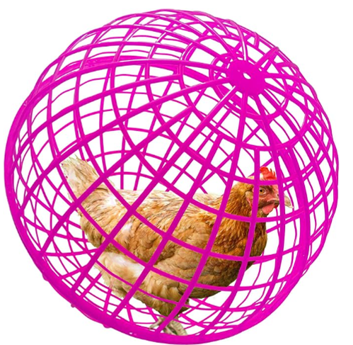  Chicken Cages thumbnail
