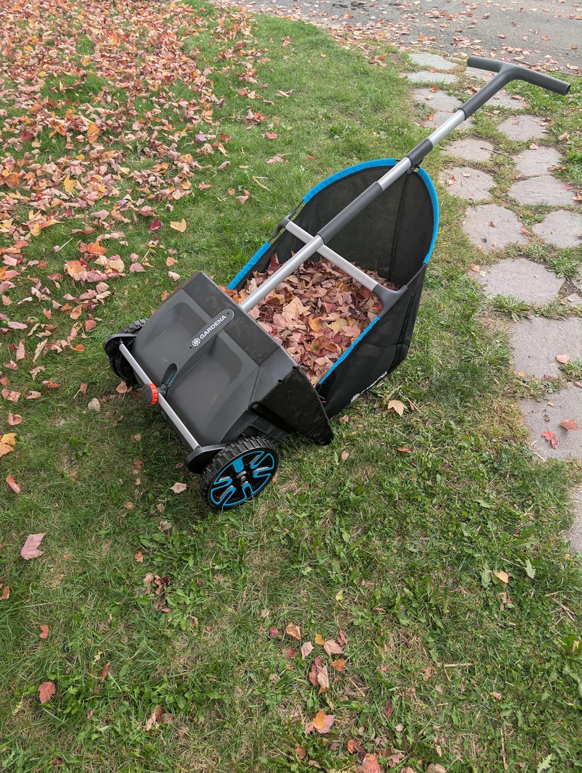 Leaf Collector thumbnail