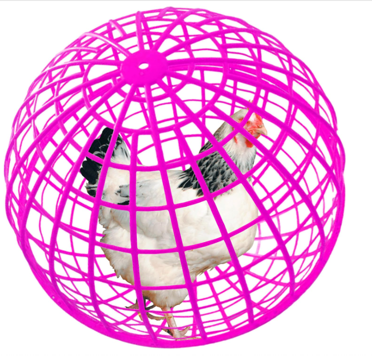 Chicken Protection Cage thumbnail