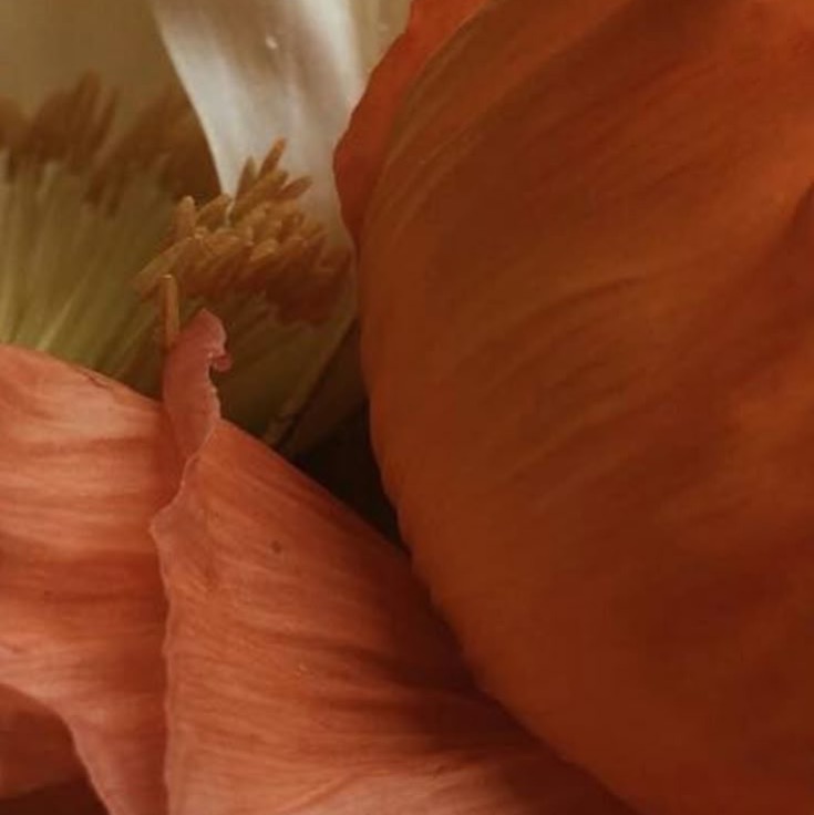 R. Portugal Freixo, 223 • Sala 01 - Centro, Suzano/SP thumbnail