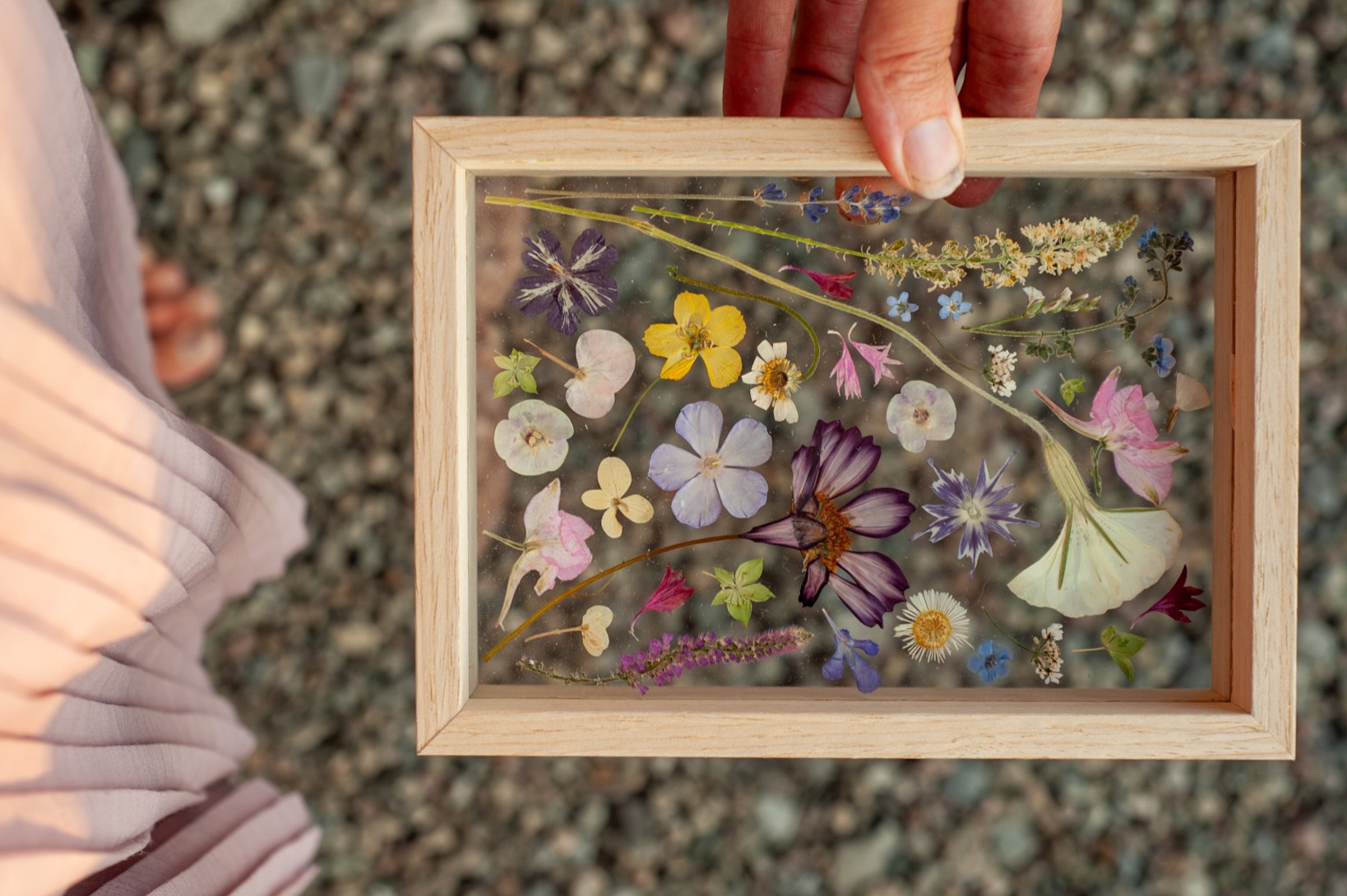 The Replay! Framed Pressed Flowers thumbnail