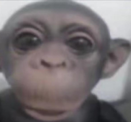 Vídeo Tutorial Método Moreira thumbnail