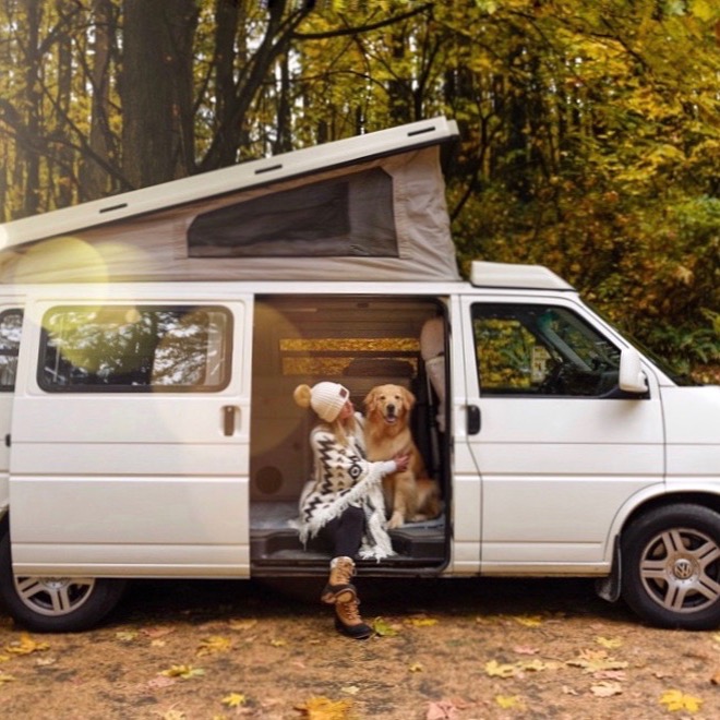 Website - PAWTASTIC STAYS thumbnail