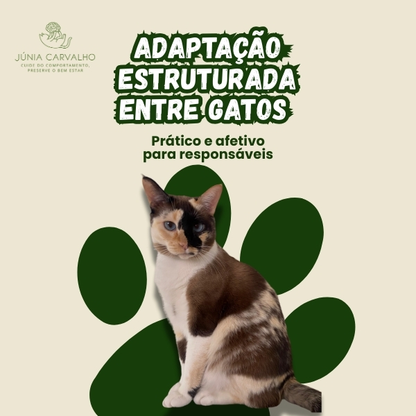 Ebook Adaptação estruturada entre gatos🐈 thumbnail