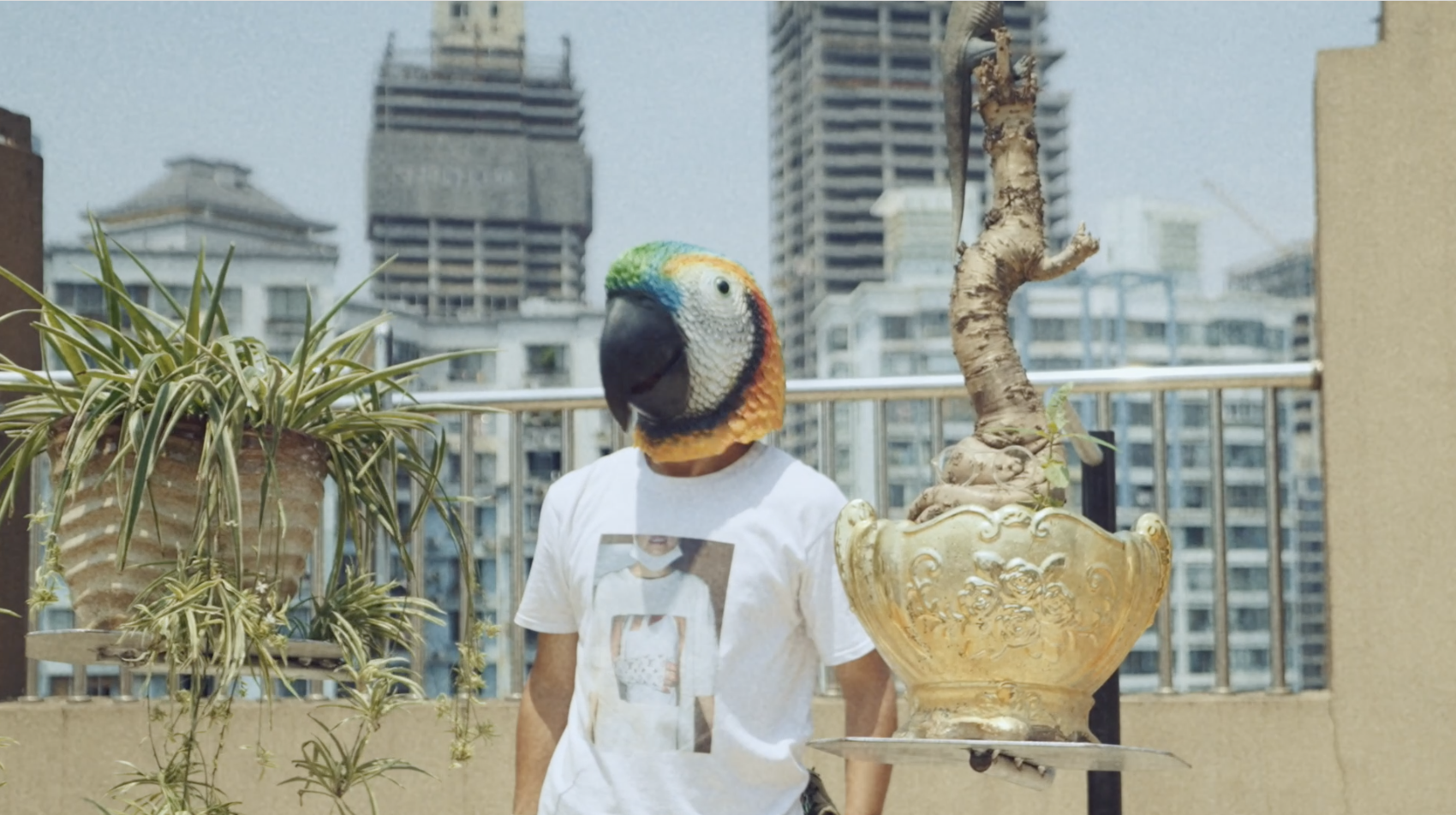 聚焦摄影师：平行生长 thumbnail