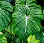 Travel Artwork available for purchase thumbnail