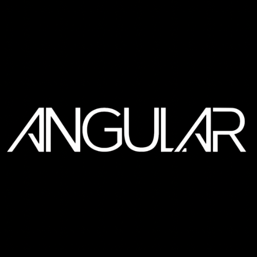 BioSite profile picture for @Angular