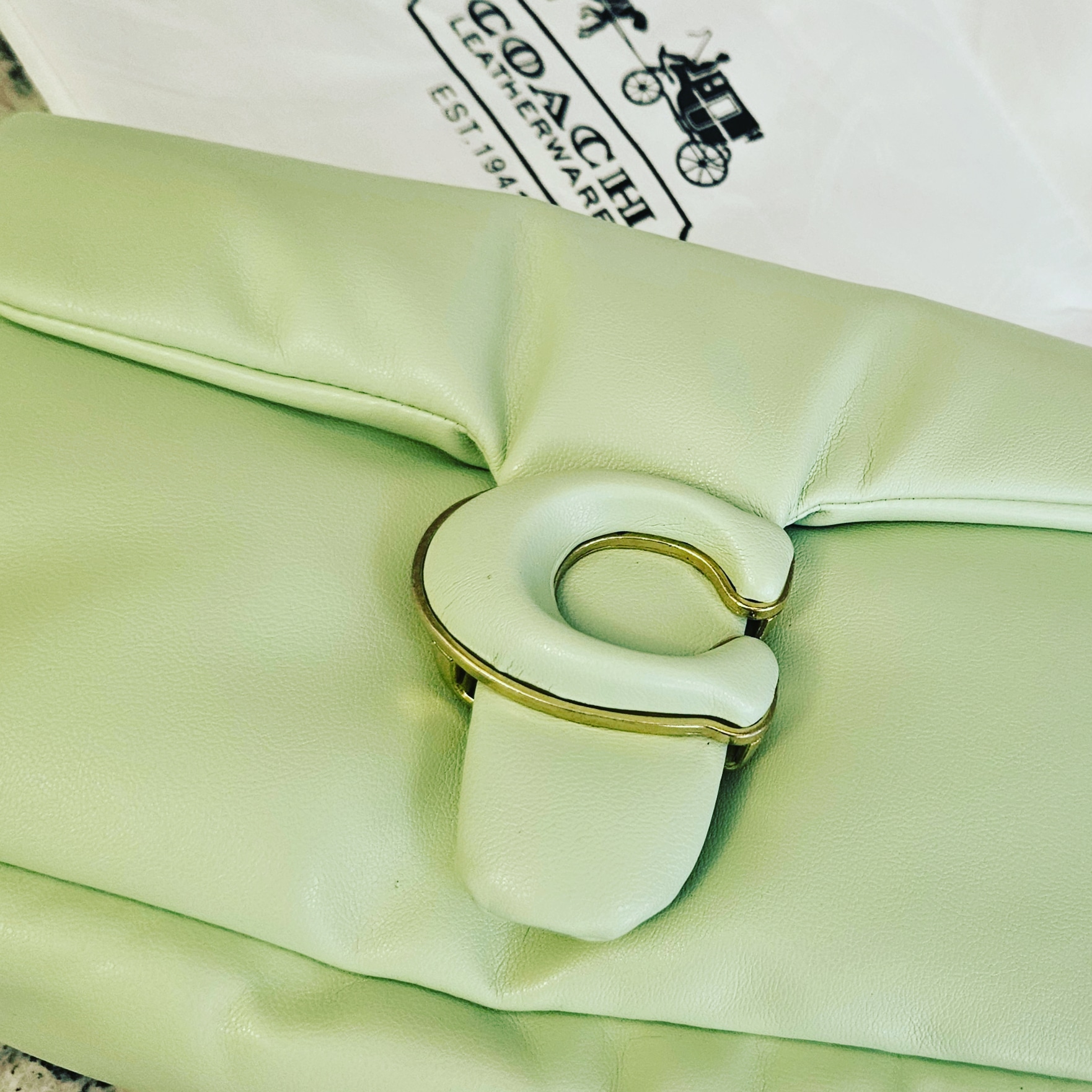 Mint Green Soft Underarm Bag thumbnail