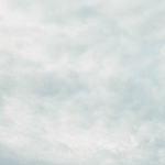 🌿 Présentation  thumbnail