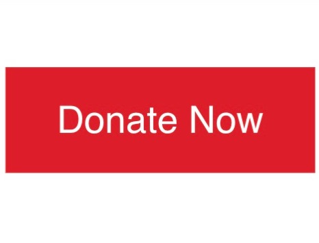 DONATE thumbnail