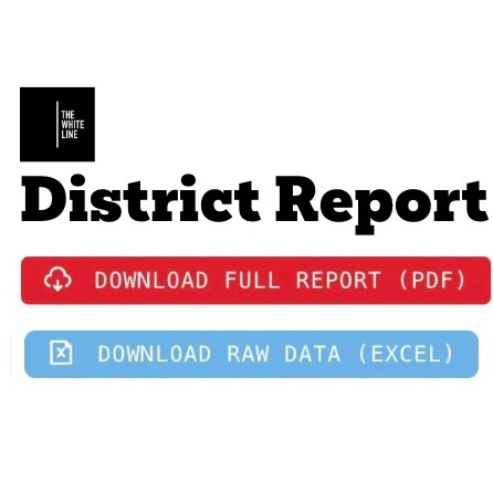 The White Line - Report Generator thumbnail