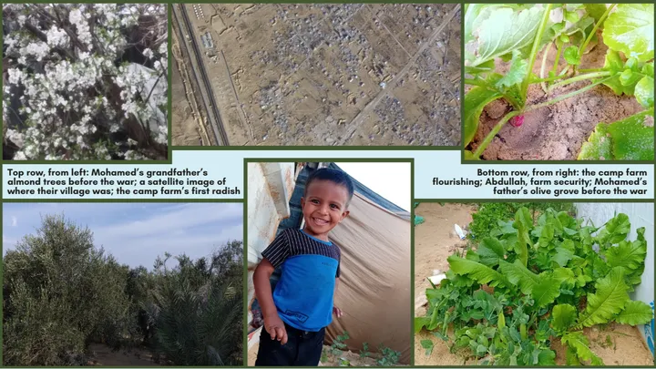 Help Mohamed and His Family Get to Safety thumbnail
