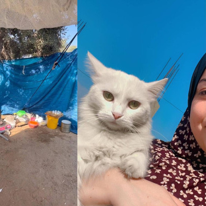 Support Aseel live with dignity in Gaza thumbnail