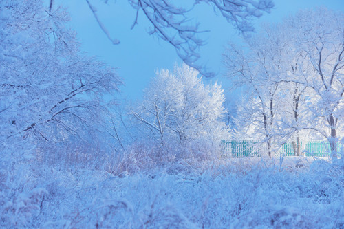 January 4th Virtual Event | The Year Nine Exhale | ModernZenCo thumbnail