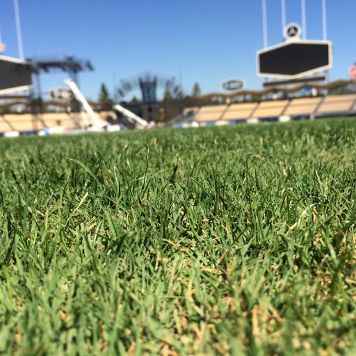 Dodger Thoughts thumbnail