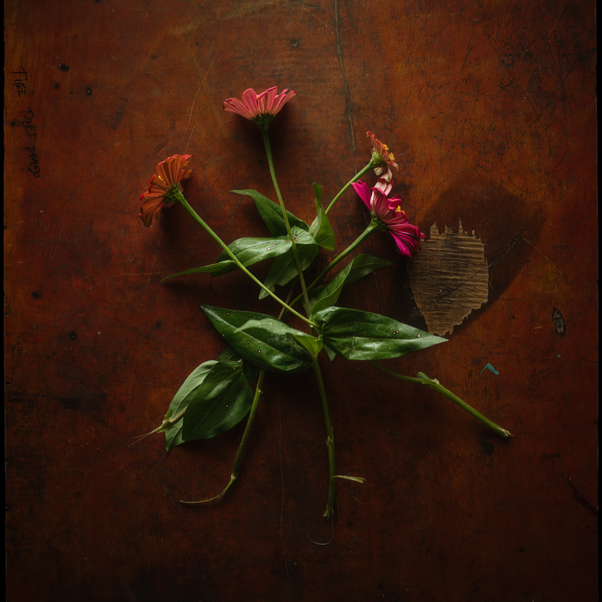 My Website thumbnail