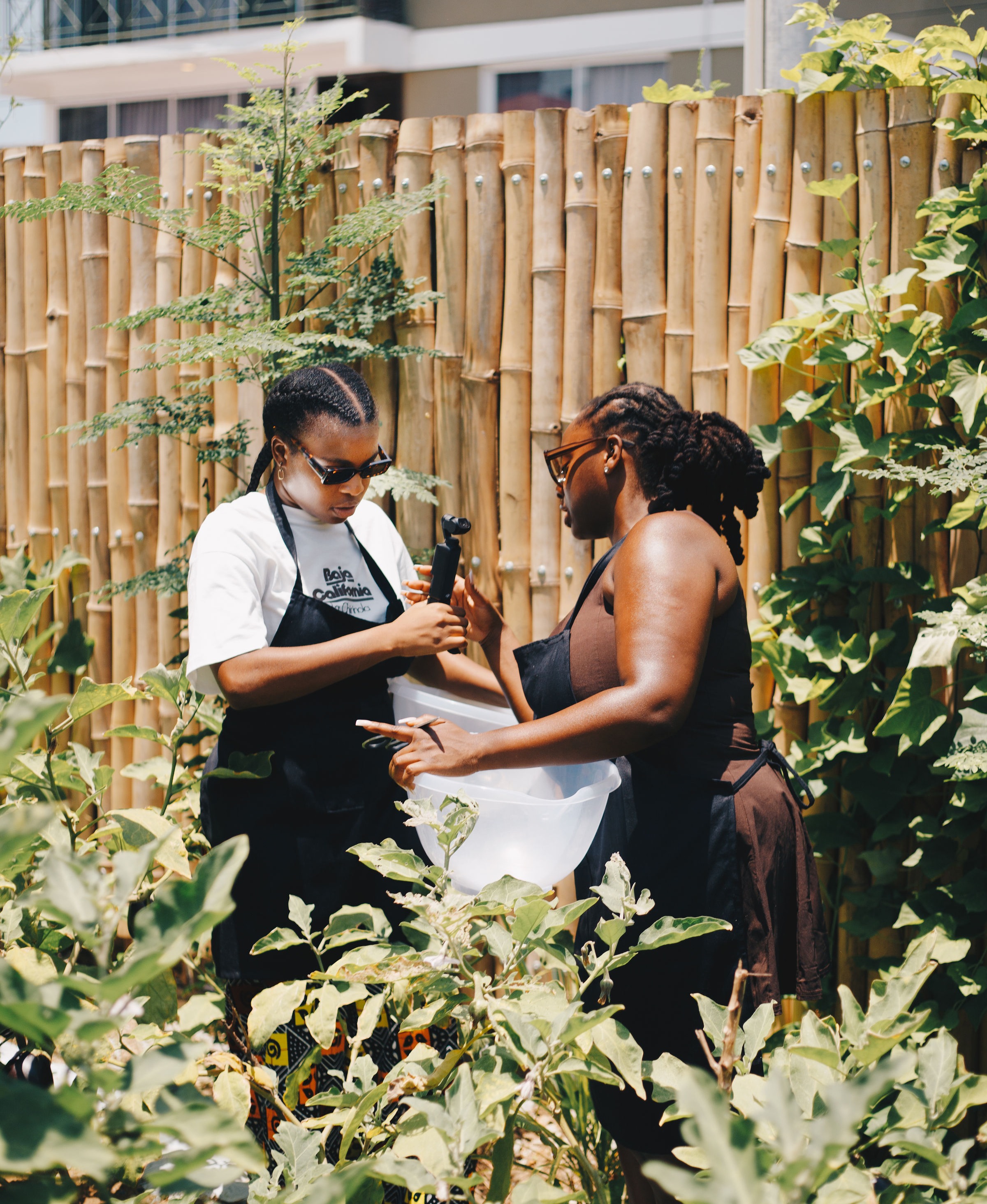 Webinar: Food Environments thumbnail