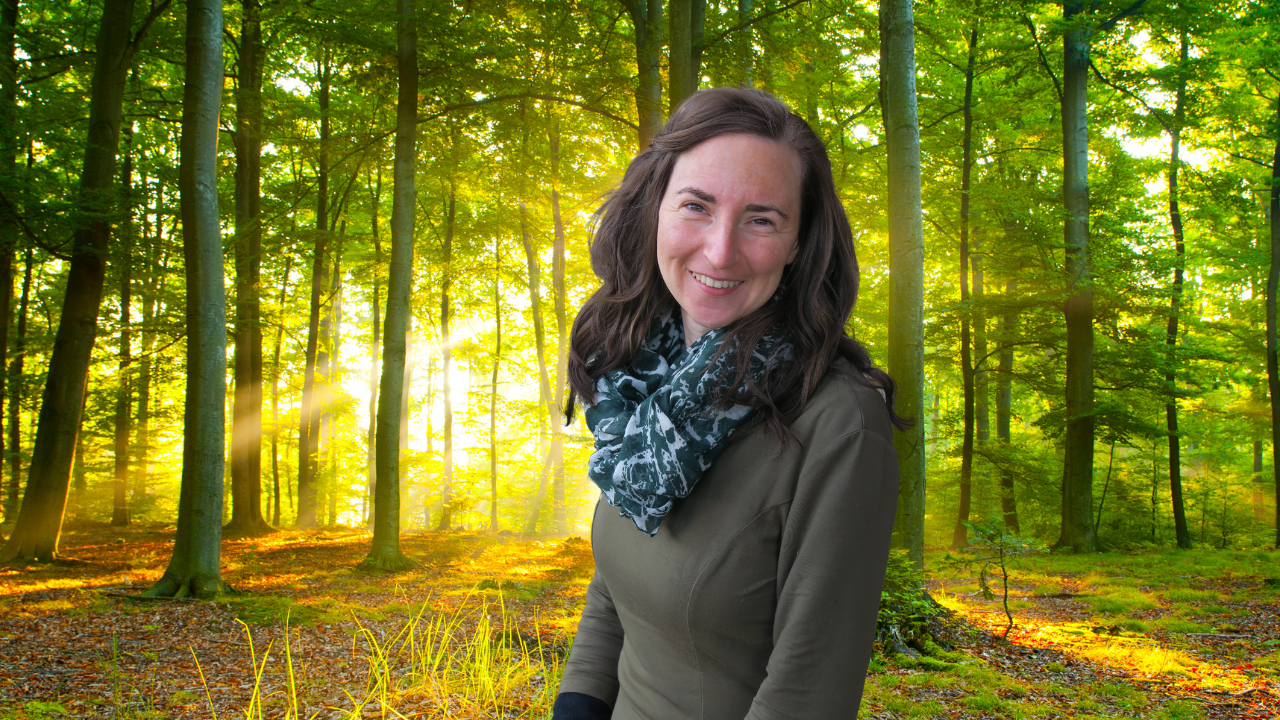 WaldChrisi | Naturverbindung, Jahreszeiten & YouTube Community thumbnail