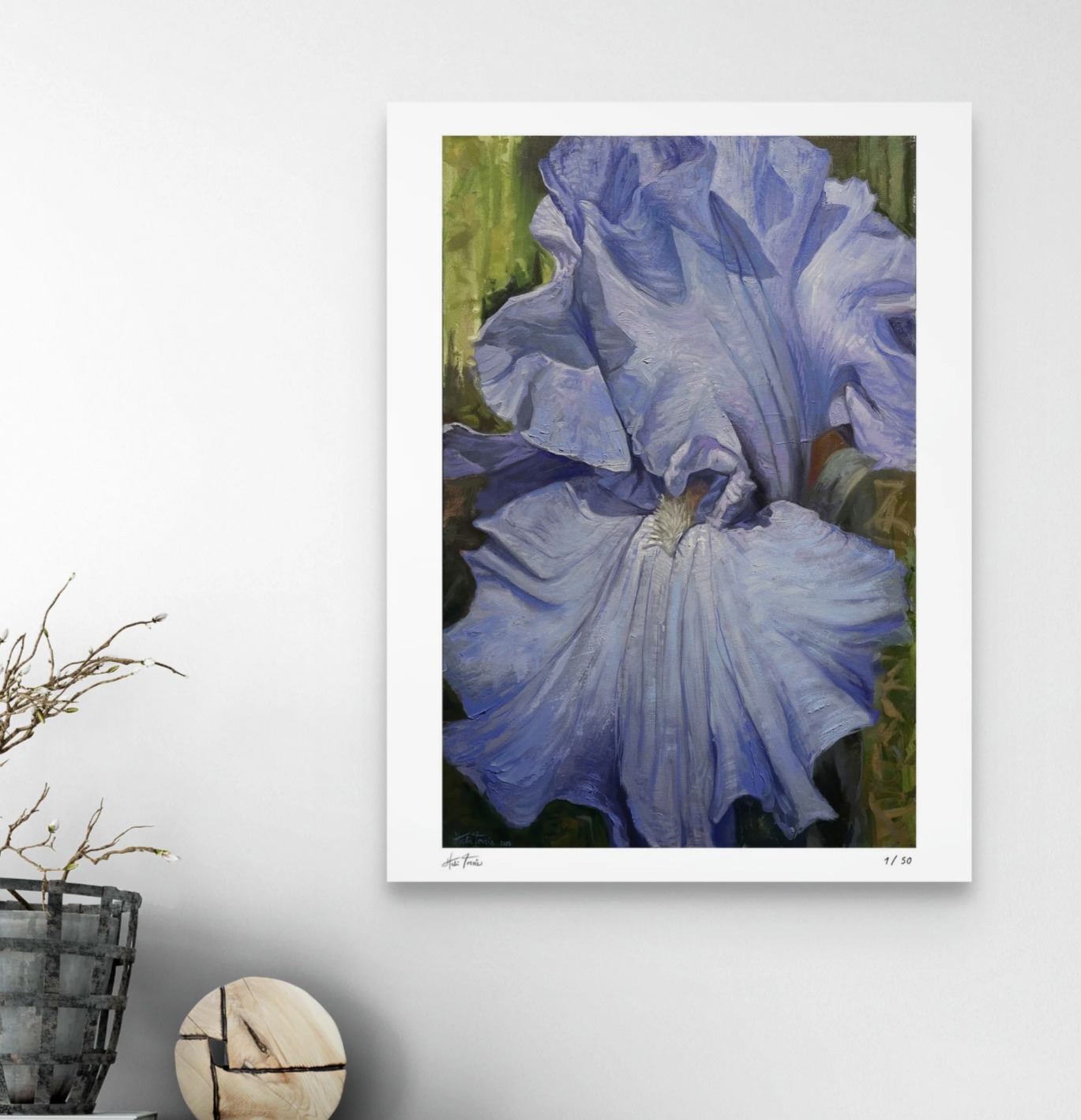 "california iris" print drop thumbnail
