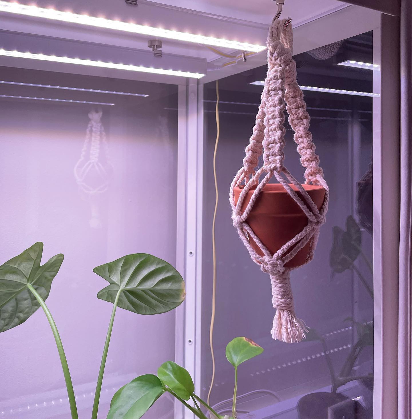 happy Monday! there’s only 7 hours left of our MLK day sale! buy 2 items & get 10% off with code “MLK2023” 💗

let us kno