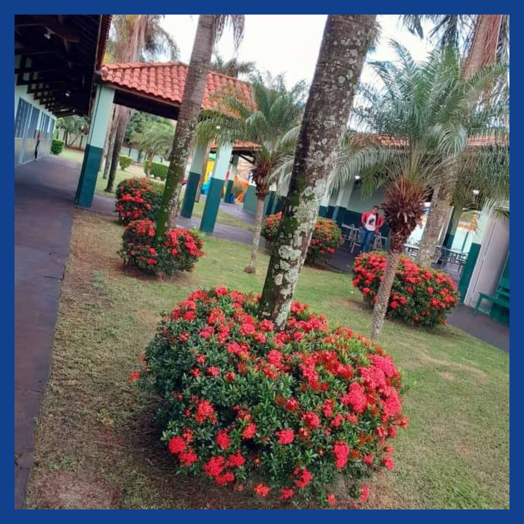 CAEME “Severino Paixão da Silva” thumbnail