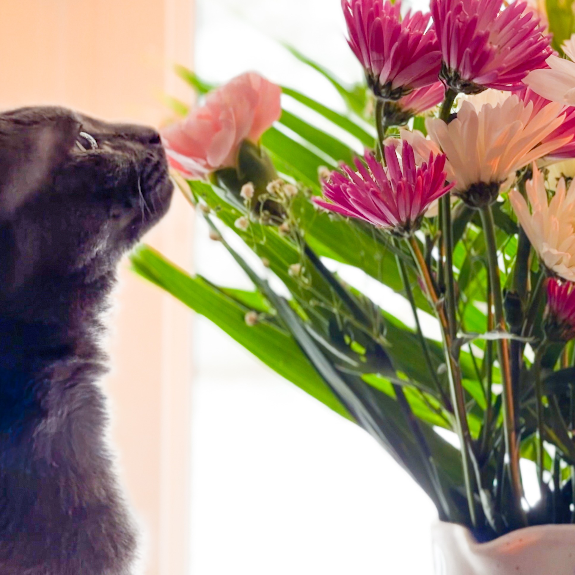 MY LATEST YOUTUBE VIDEO thumbnail