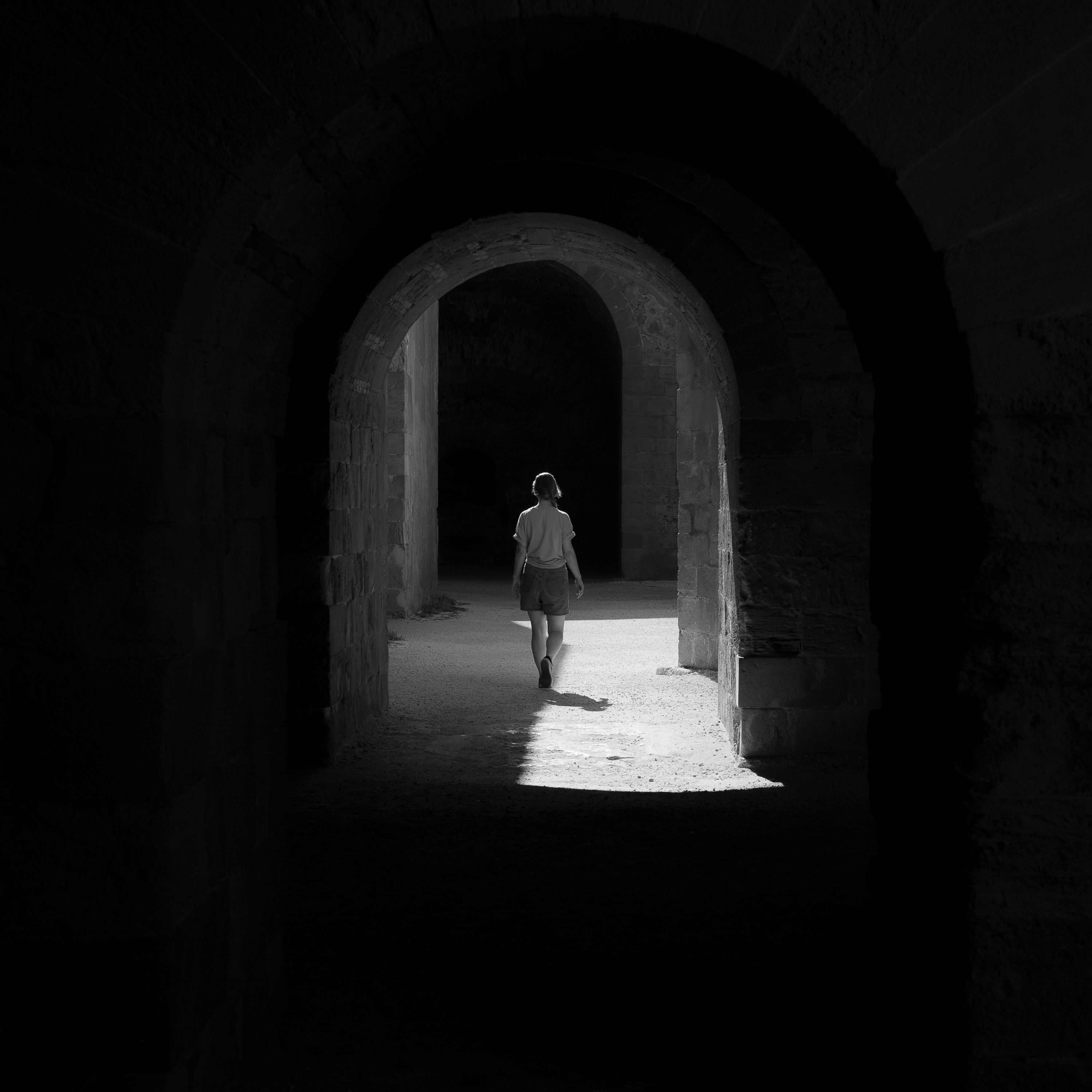 in shadows - transient labs thumbnail