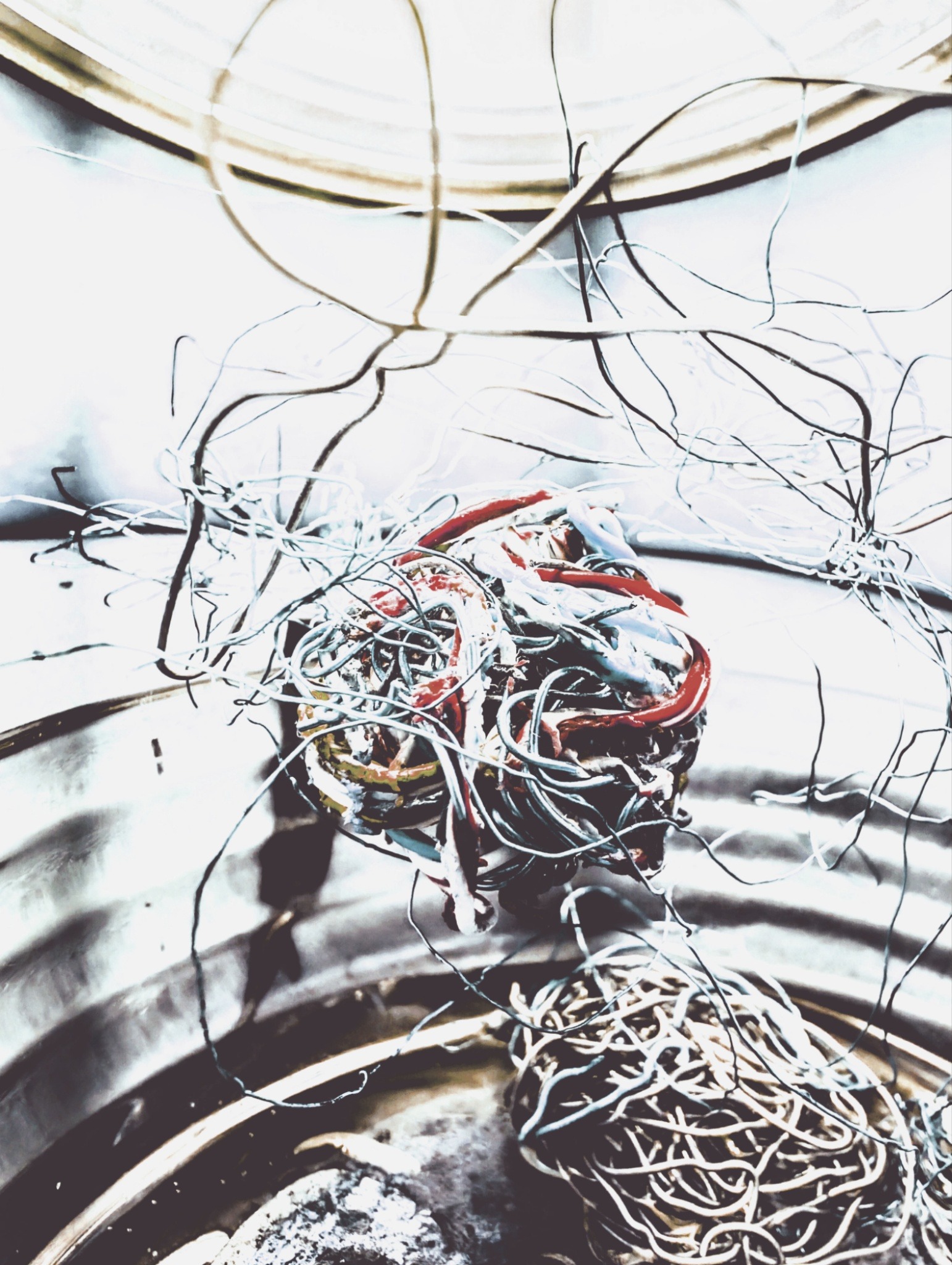 QI•°devLIFE - Bio Site thumbnail