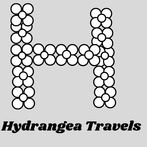Official Website thumbnail
